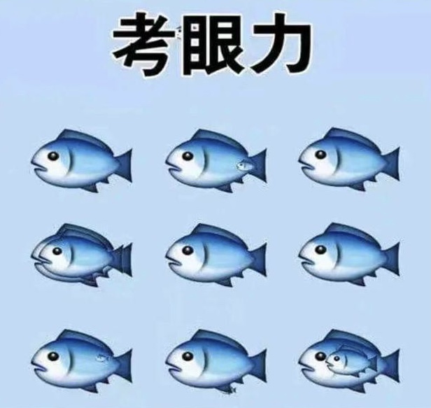 fish.jpg